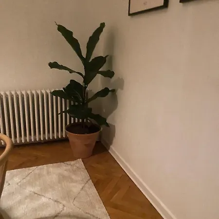 Pa Klaregade * オーデンセ