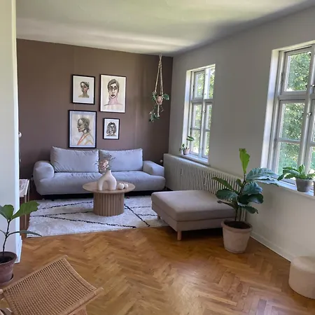 Pa Klaregade * オーデンセ